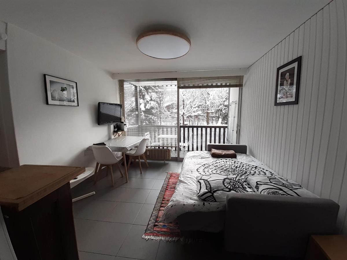Studio Quartier Calme Centre Ville Vue Mont Blanc Chamonix Exterior foto